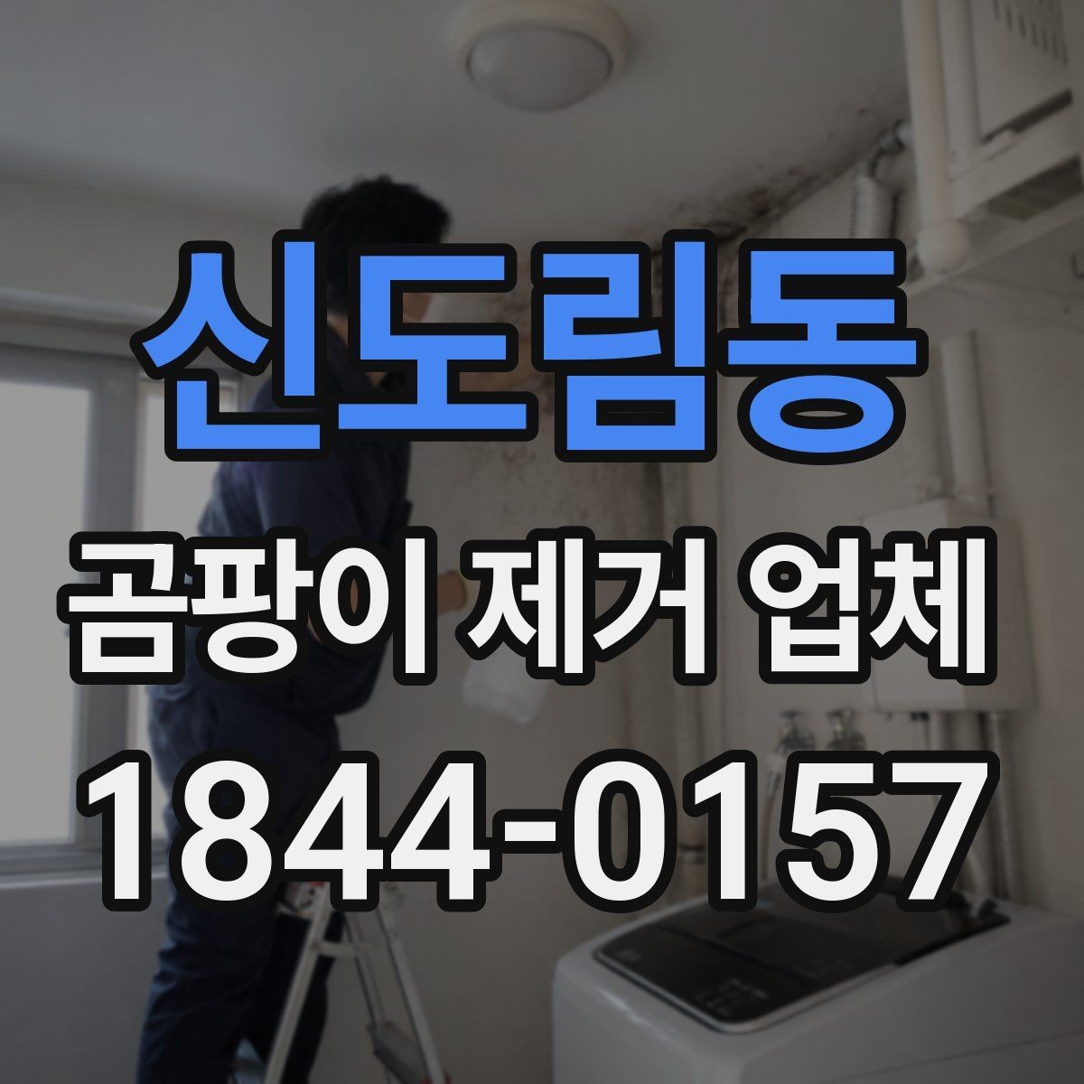 신도림동 곰팡이 제거 업체 벽지 뒤 결로 흔적까지 살피는 진단 포인트