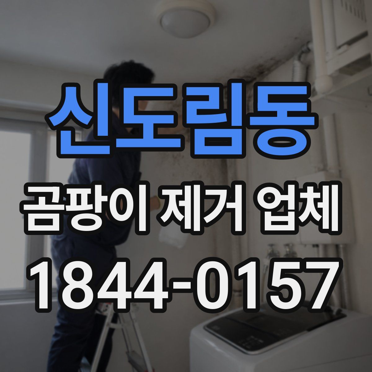 신도림동 곰팡이 제거 업체