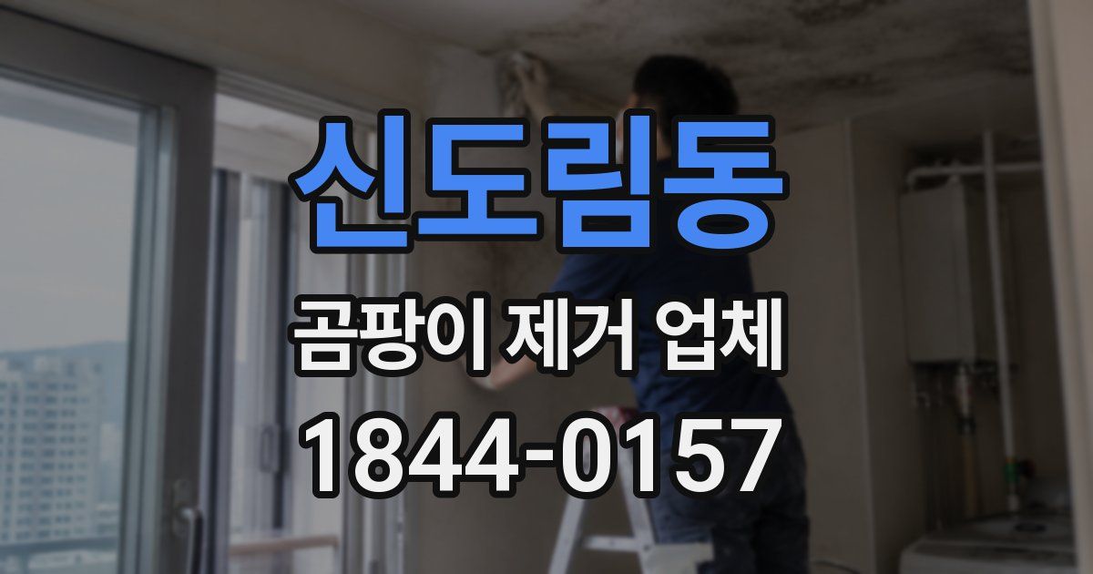 신도림동 곰팡이 제거 업체