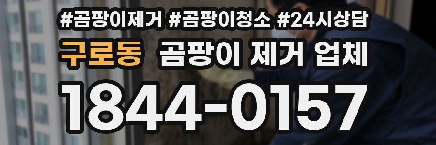구로동 곰팡이 제거 업체