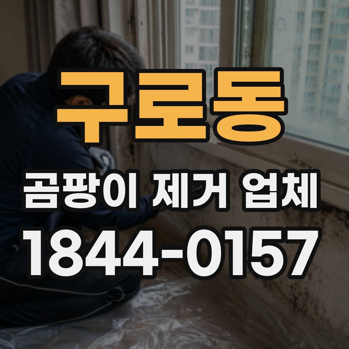 구로동 곰팡이 제거 업체