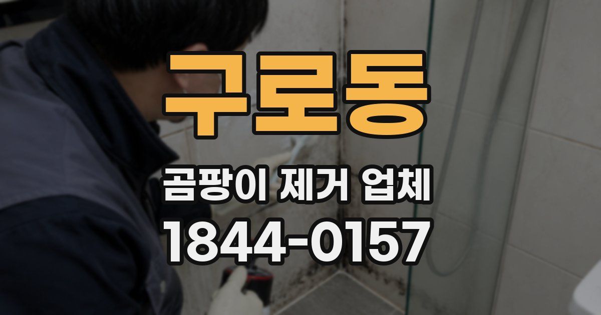 구로동 곰팡이 제거 업체
