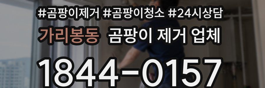 가리봉동 곰팡이 제거 업체