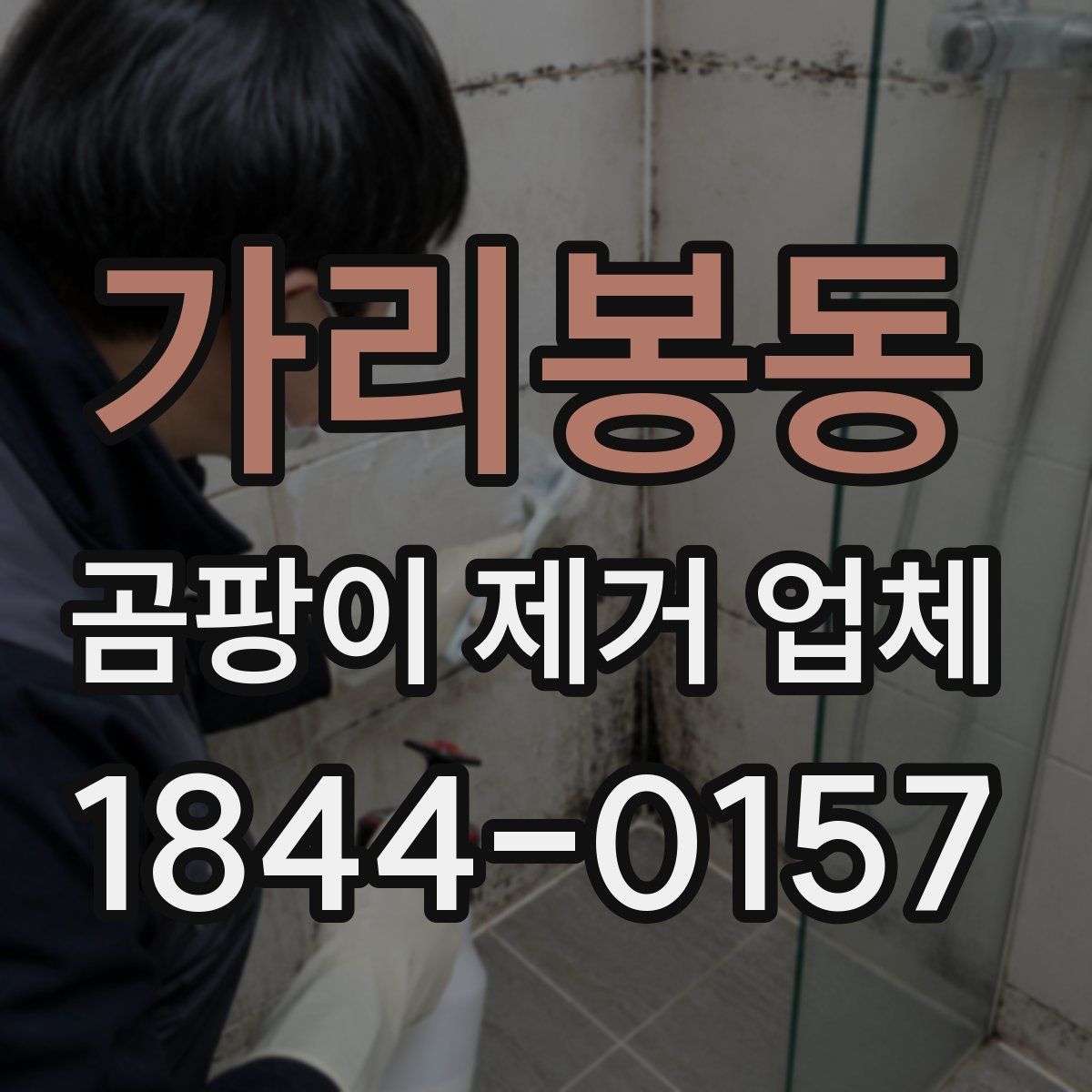 가리봉동 곰팡이 제거 업체