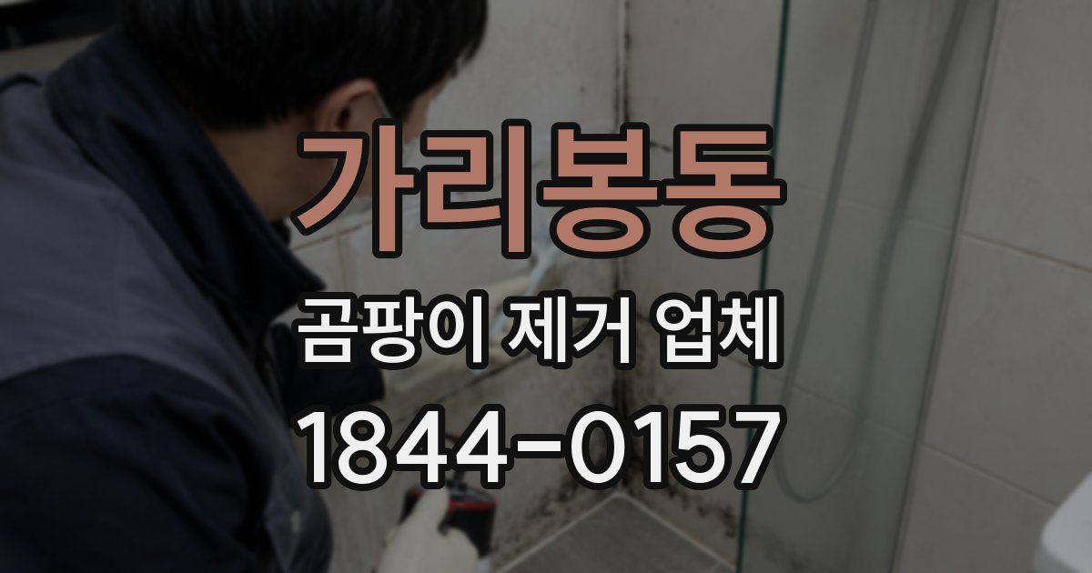 가리봉동 곰팡이 제거 업체