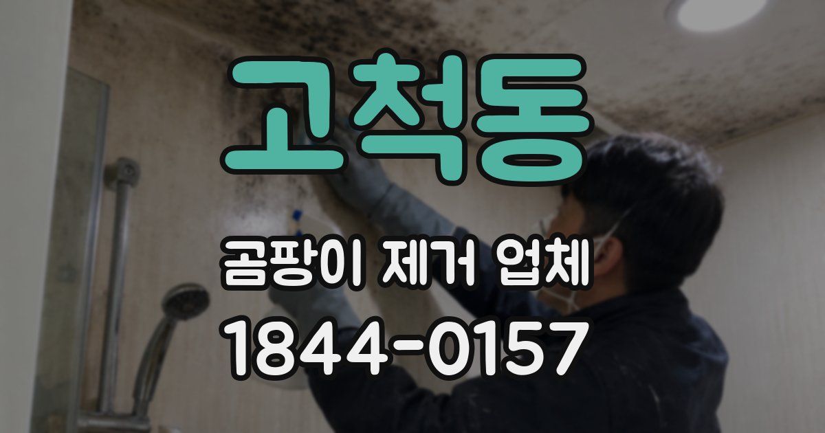 고척동 곰팡이 제거 업체