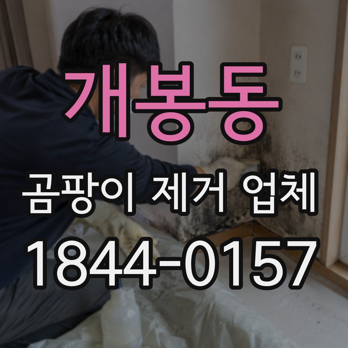 개봉동 곰팡이 제거 업체