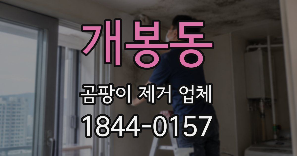 개봉동 곰팡이 제거 업체
