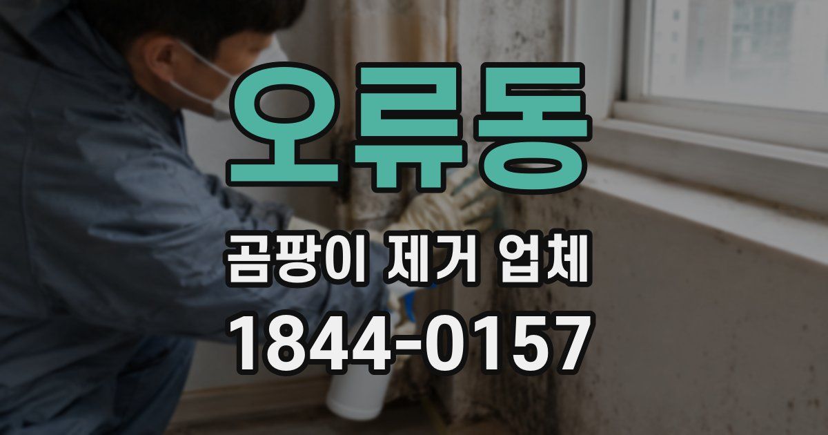 오류동 곰팡이 제거 업체