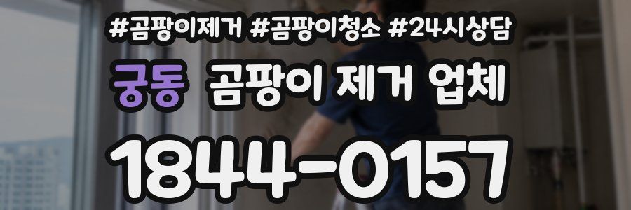 궁동 곰팡이 제거 업체