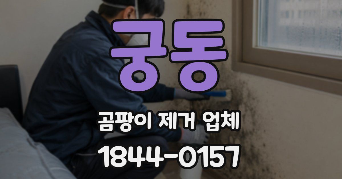 궁동 곰팡이 제거 업체