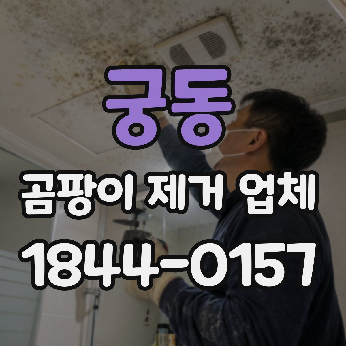 궁동 곰팡이 제거 업체