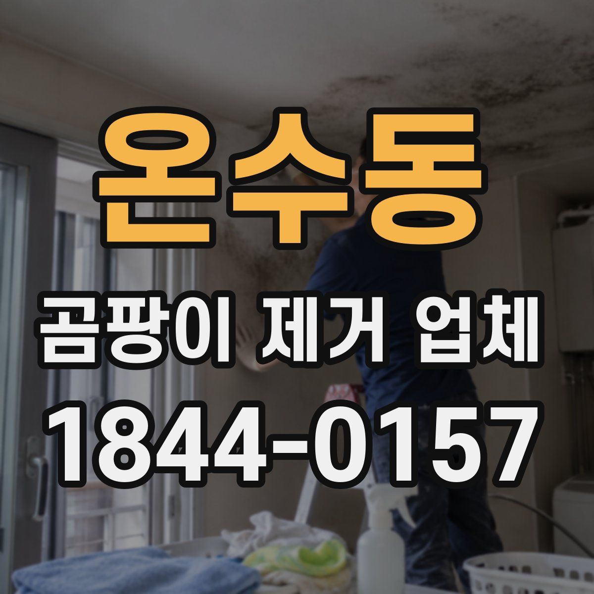 온수동 곰팡이 제거 업체