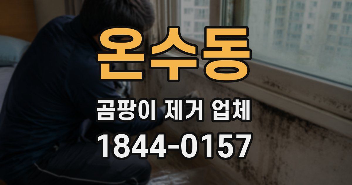 온수동 곰팡이 제거 업체