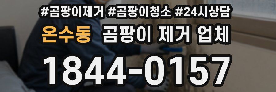 온수동 곰팡이 제거 업체