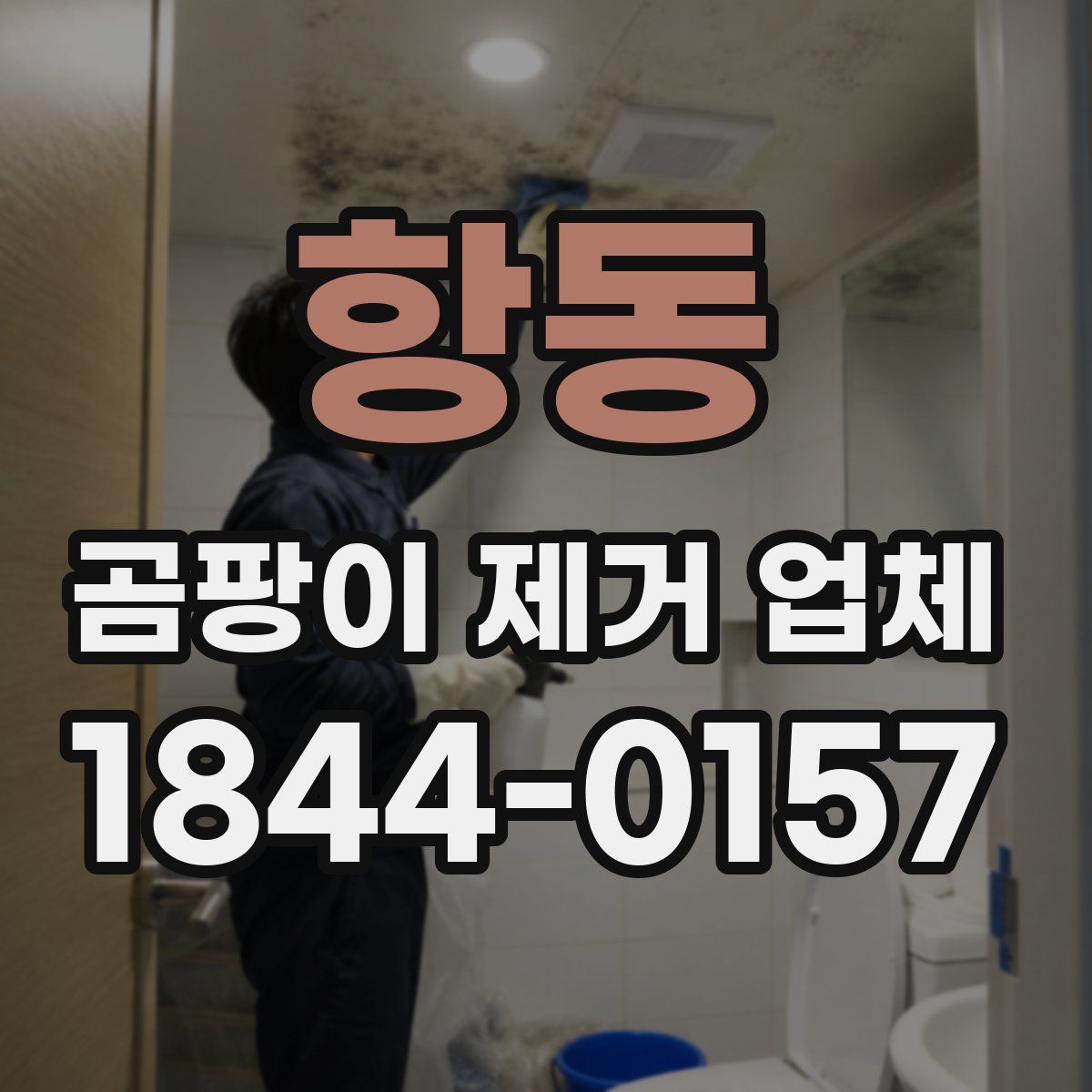 항동 곰팡이 제거 업체