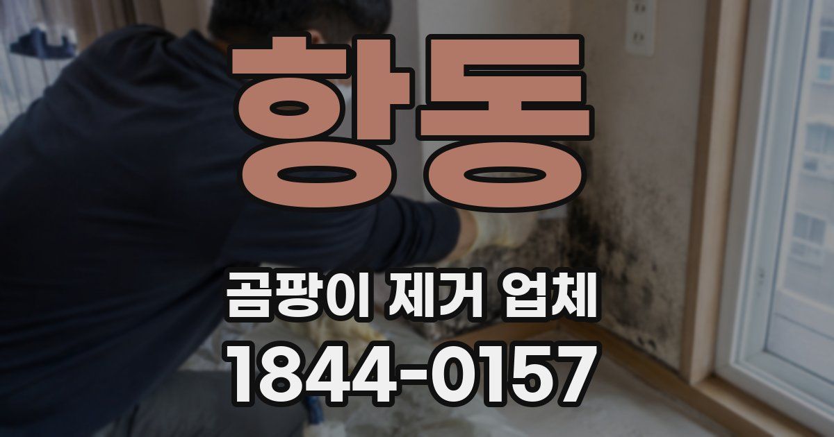 항동 곰팡이 제거 업체