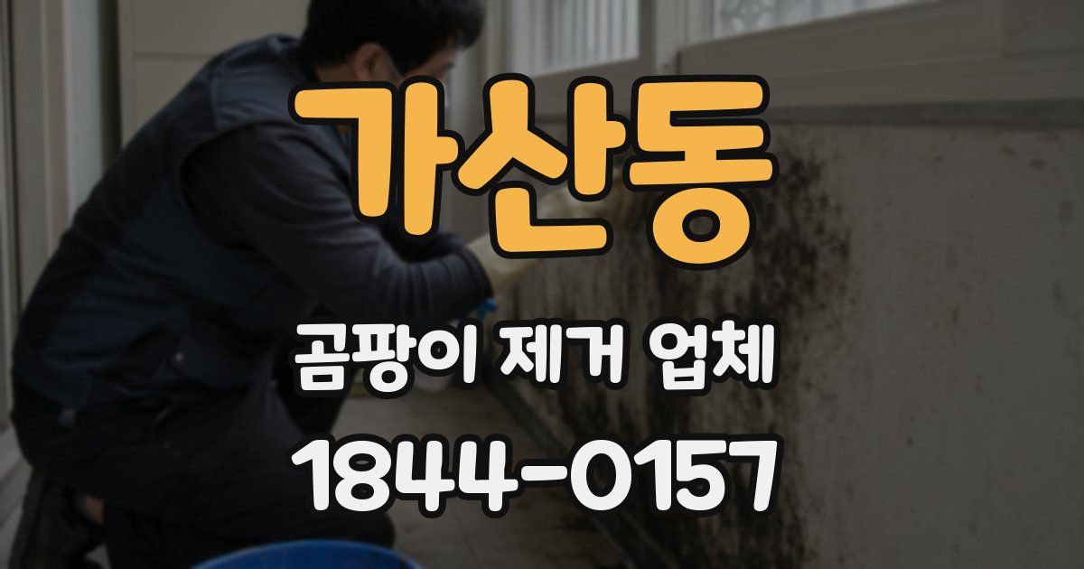 가산동 곰팡이 제거 업체