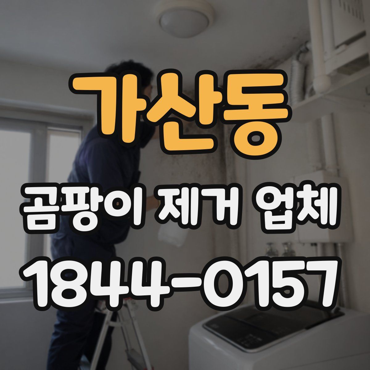 가산동 곰팡이 제거 업체