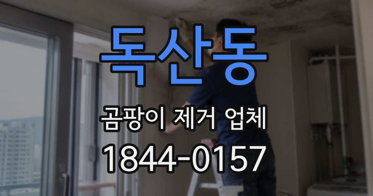 독산동 곰팡이 제거 업체