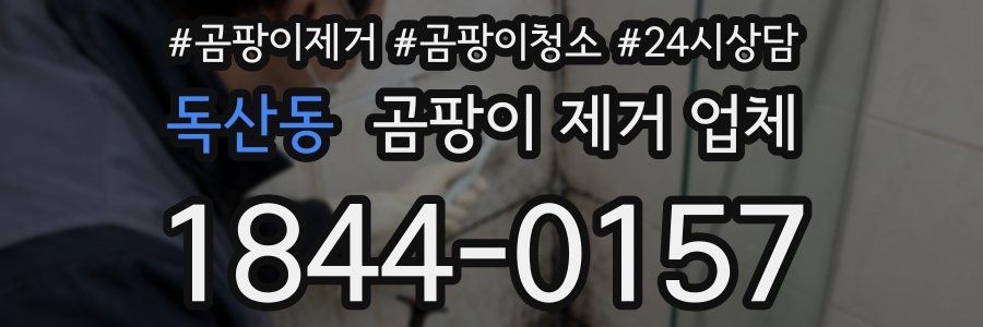 독산동 곰팡이 제거 업체