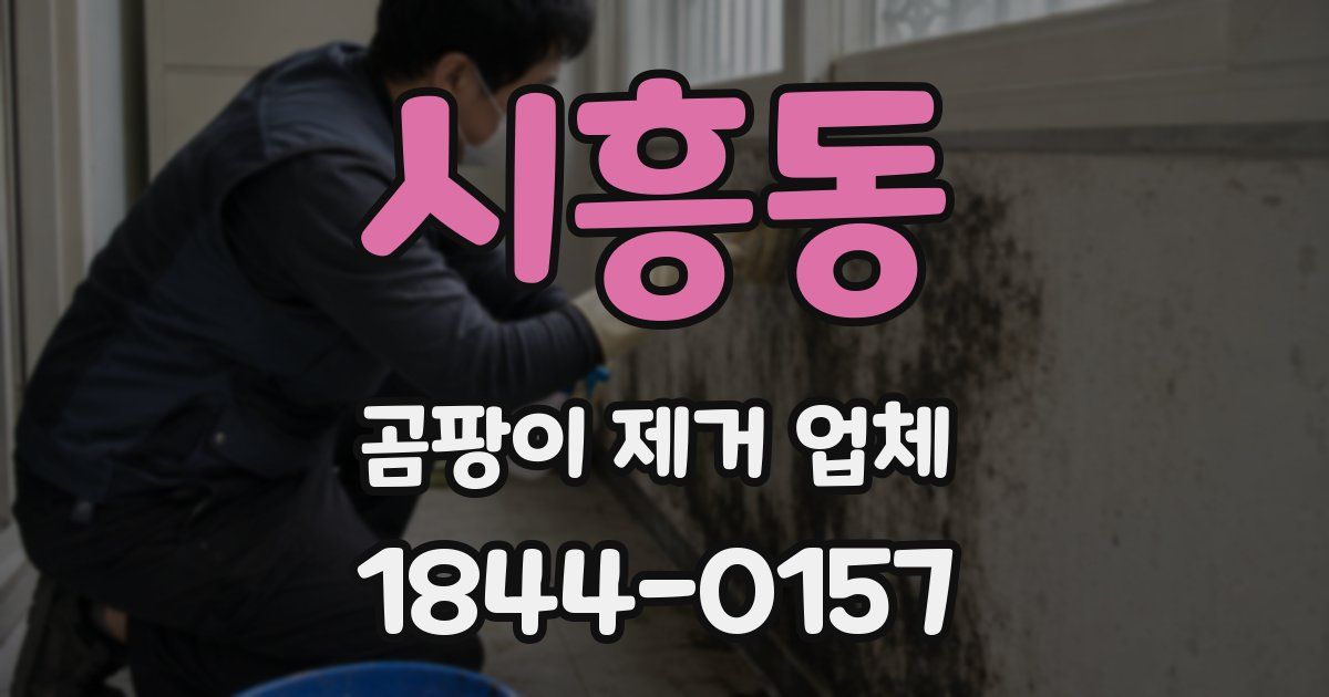 시흥동 곰팡이 제거 업체