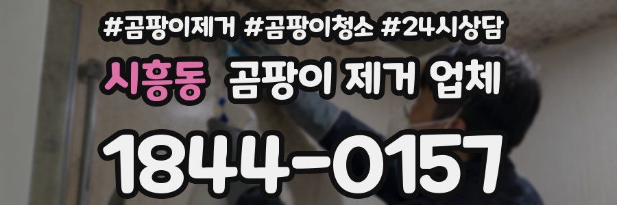 시흥동 곰팡이 제거 업체