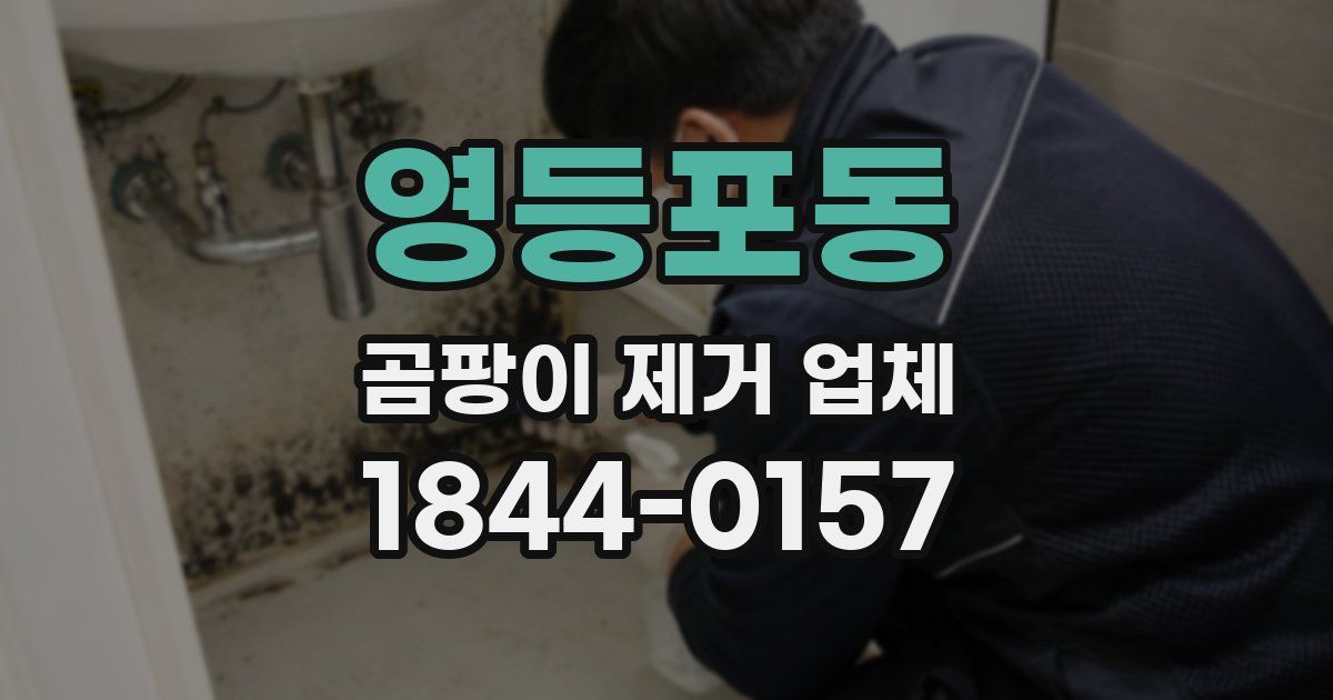 영등포동 곰팡이 제거 업체