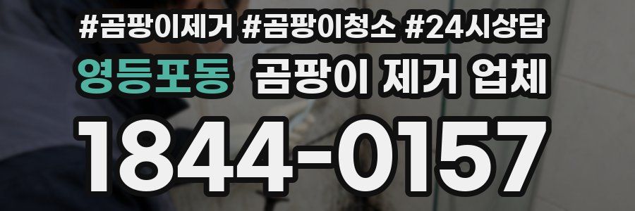 영등포동 곰팡이 제거 업체
