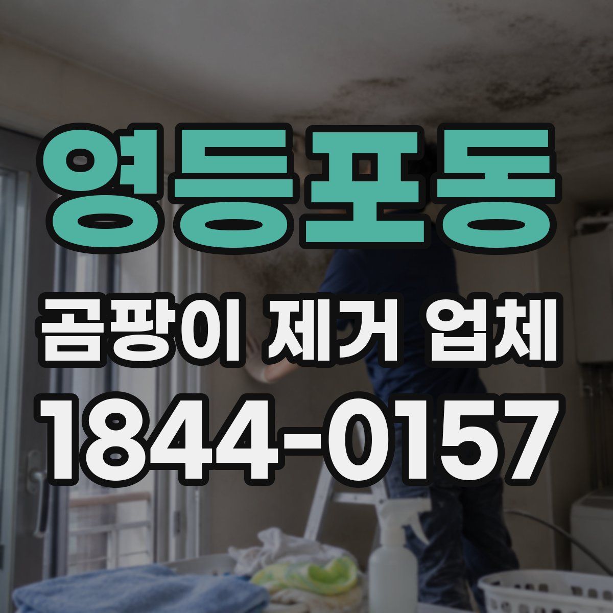 영등포동 곰팡이 제거 업체