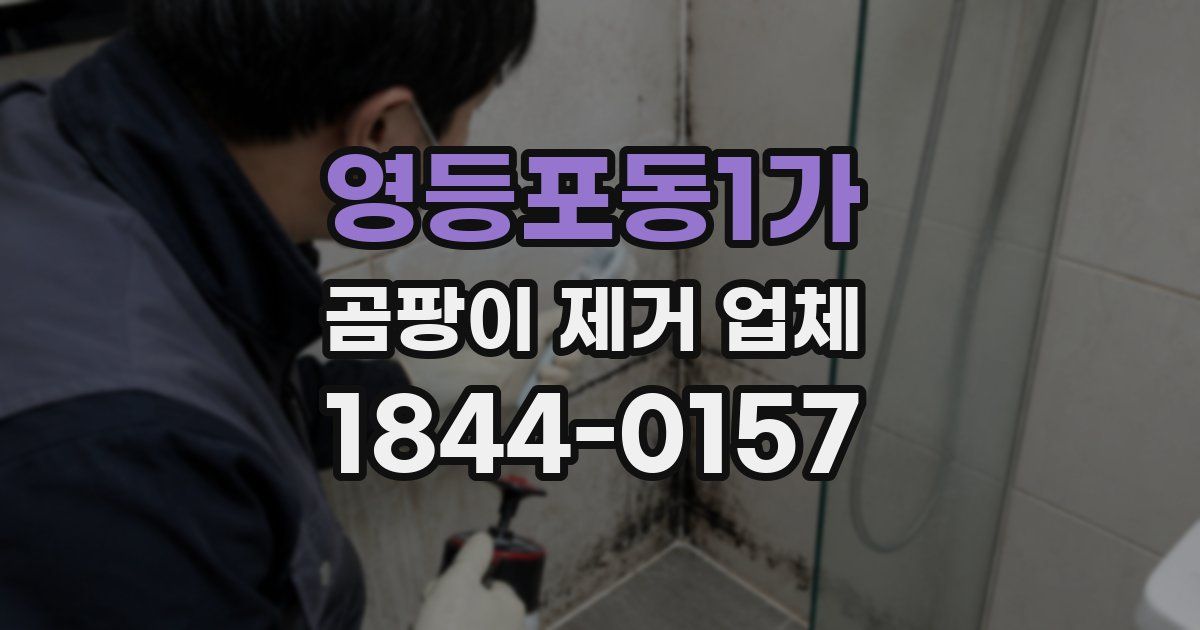 영등포동1가 곰팡이 제거 업체