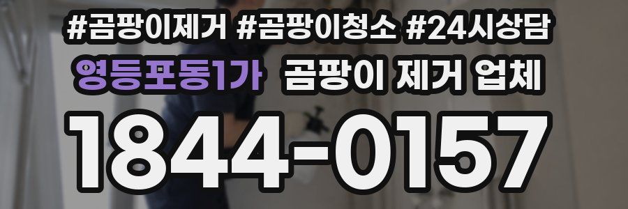 영등포동1가 곰팡이 제거 업체