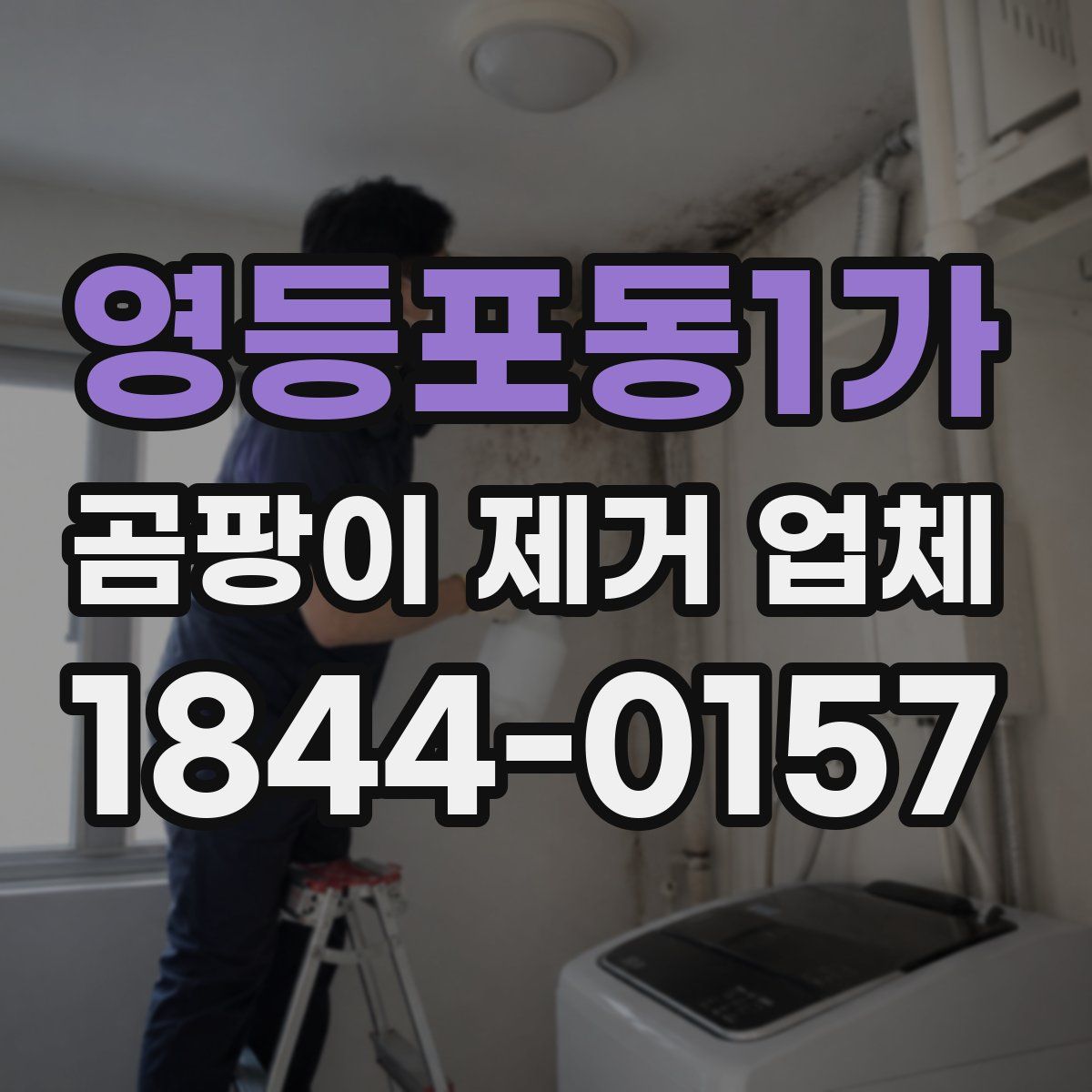 영등포동1가 곰팡이 제거 업체