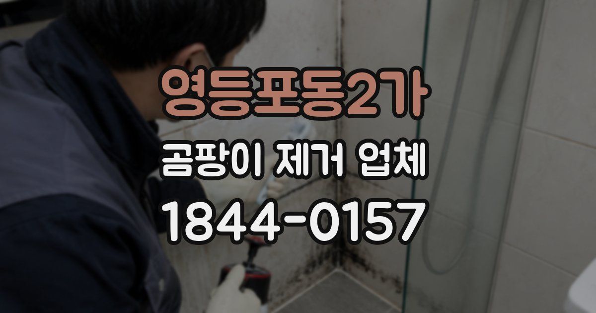 영등포동2가 곰팡이 제거 업체