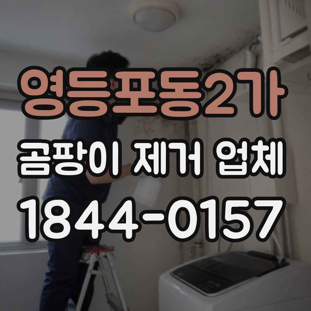 영등포동2가 곰팡이 제거 업체