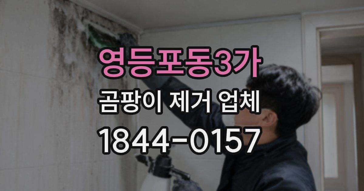 영등포동3가 곰팡이 제거 업체