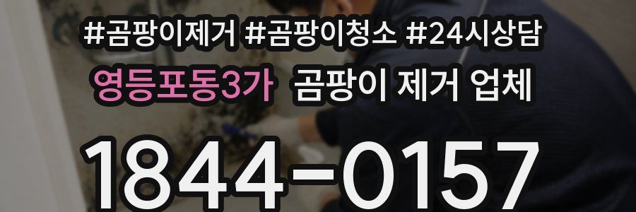 영등포동3가 곰팡이 제거 업체