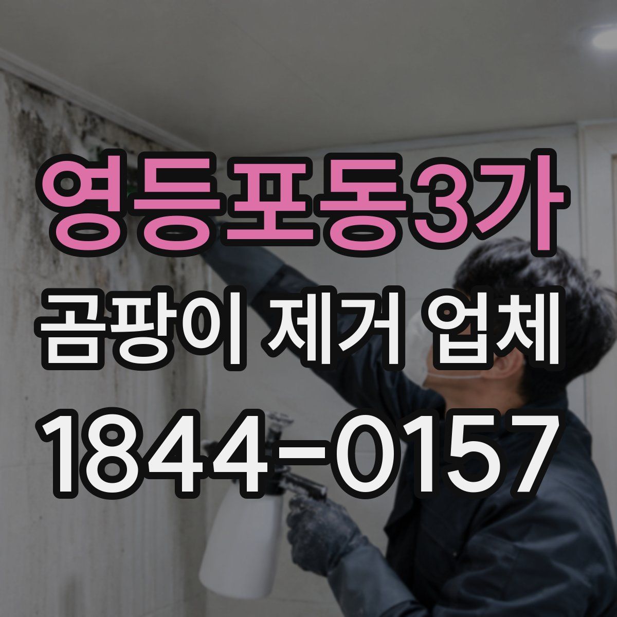 영등포동3가 곰팡이 제거 업체