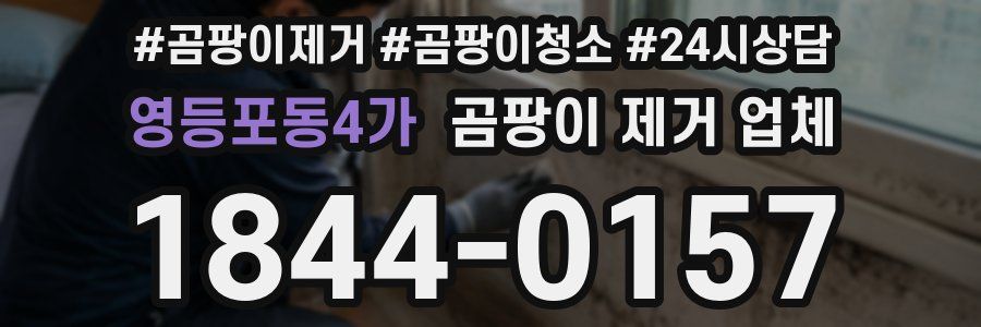 영등포동4가 곰팡이 제거 업체