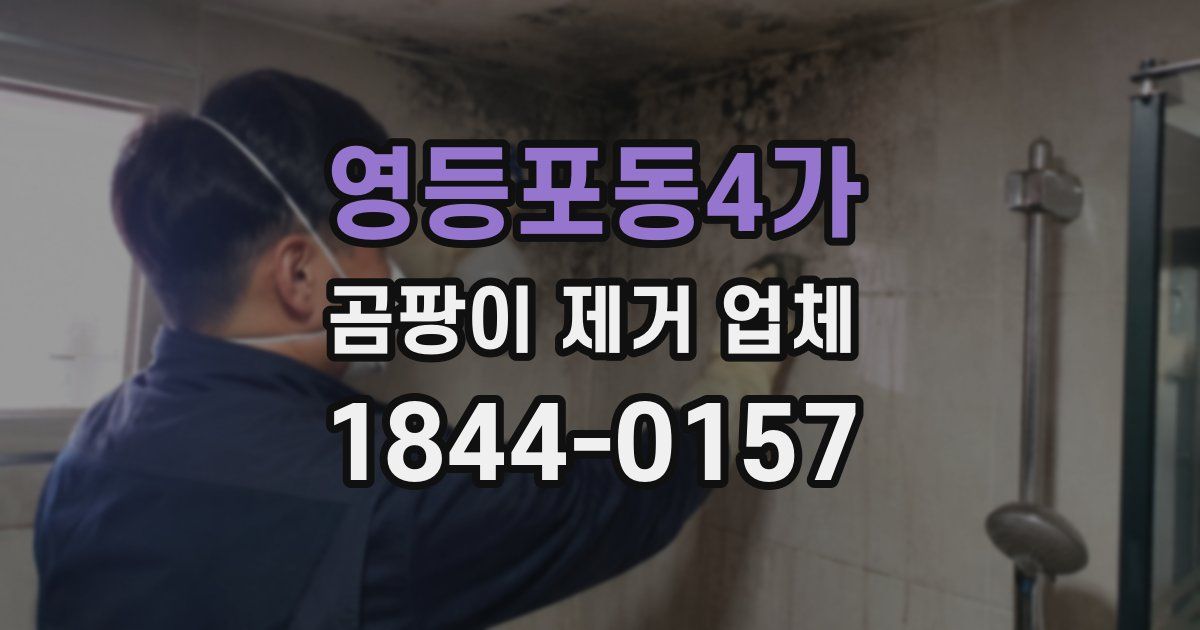 영등포동4가 곰팡이 제거 업체
