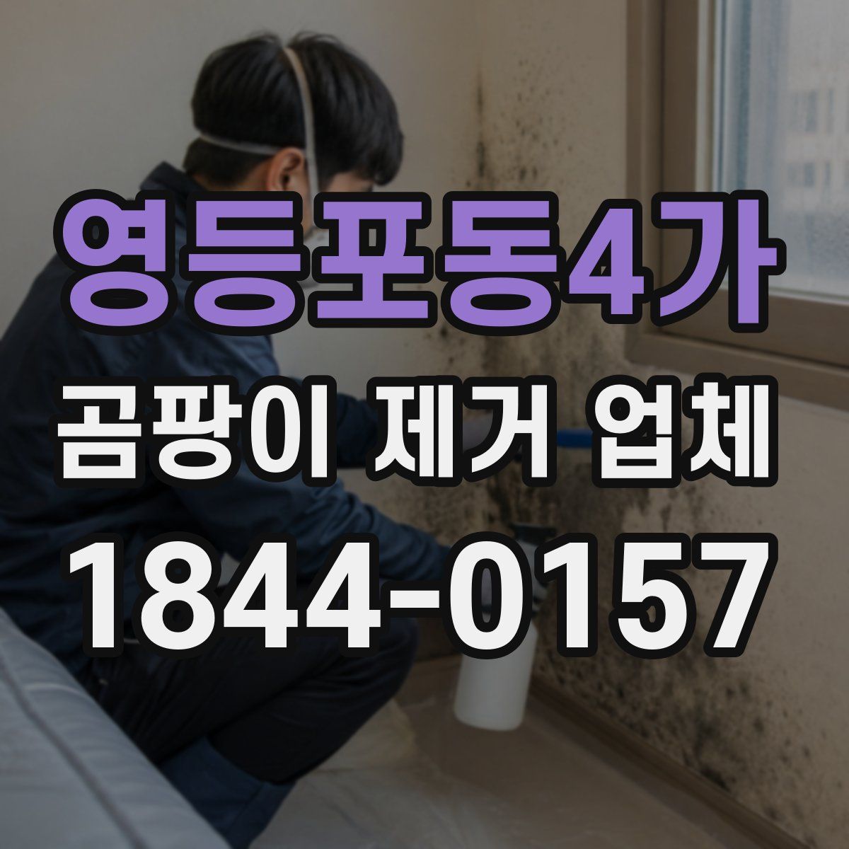 영등포동4가 곰팡이 제거 업체