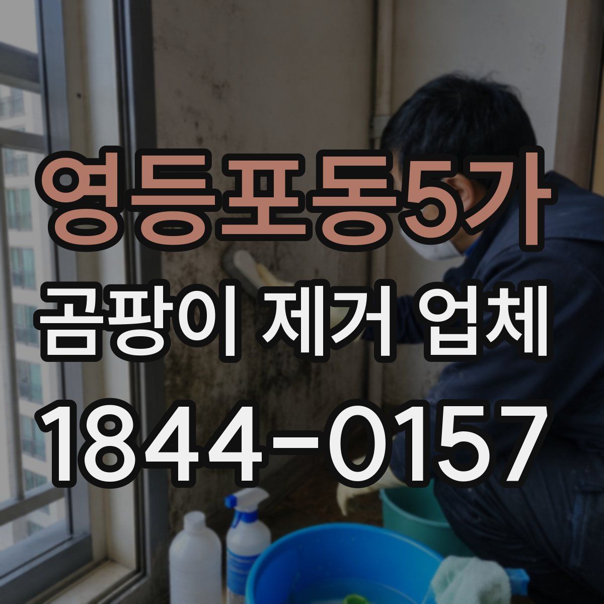 영등포동5가 곰팡이 제거 업체