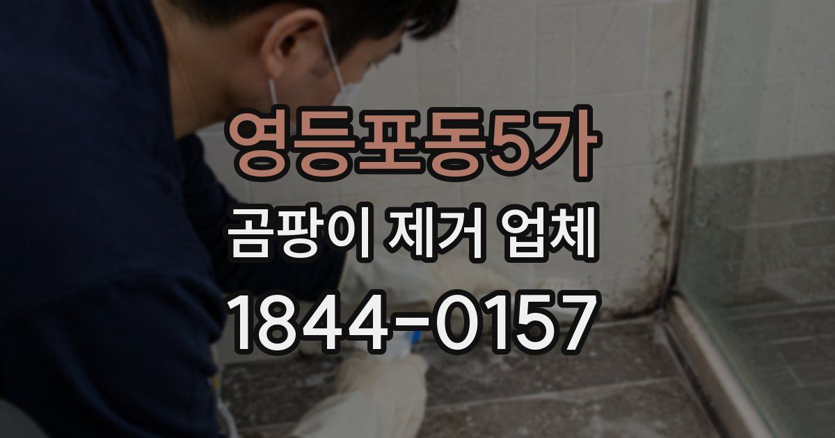 영등포동5가 곰팡이 제거 업체