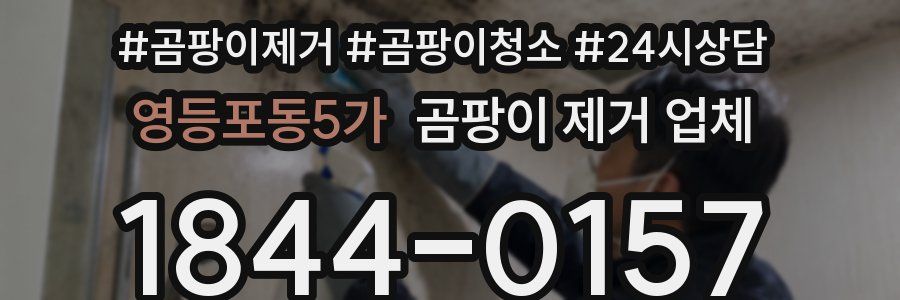 영등포동5가 곰팡이 제거 업체