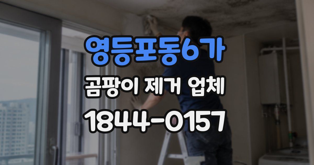 영등포동6가 곰팡이 제거 업체