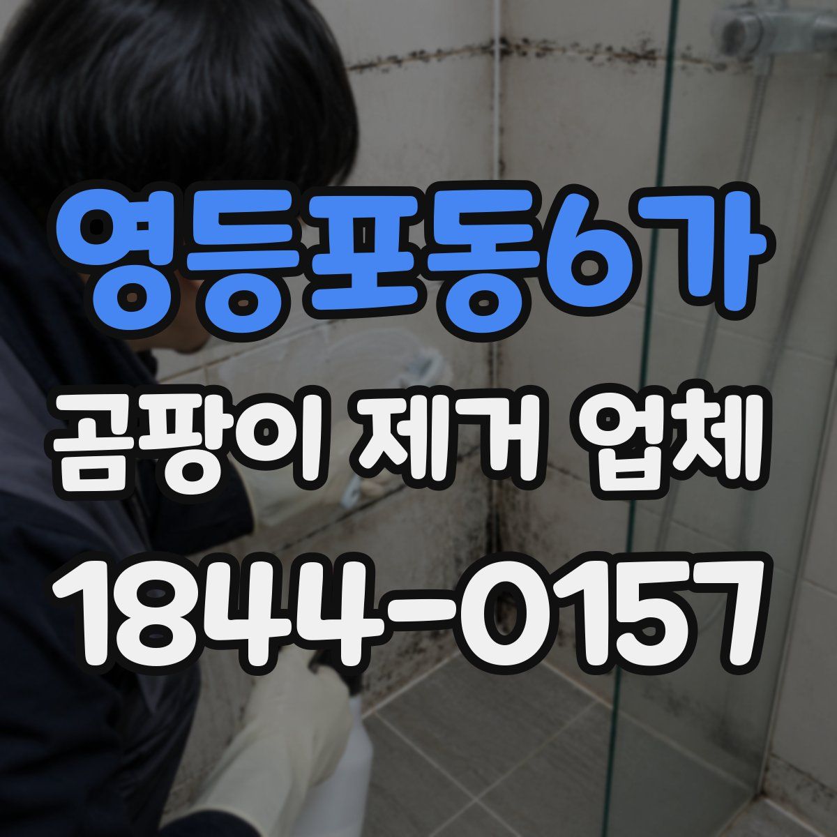 영등포동6가 곰팡이 제거 업체