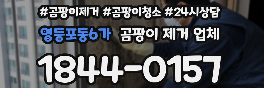 영등포동6가 곰팡이 제거 업체