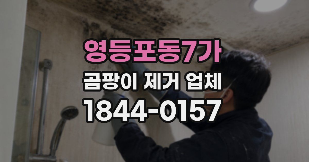영등포동7가 곰팡이 제거 업체