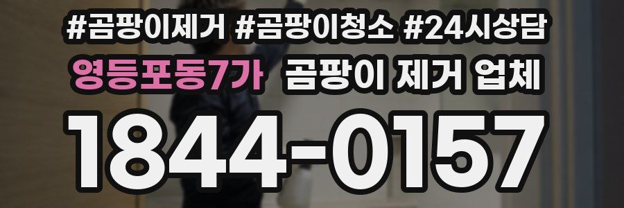 영등포동7가 곰팡이 제거 업체