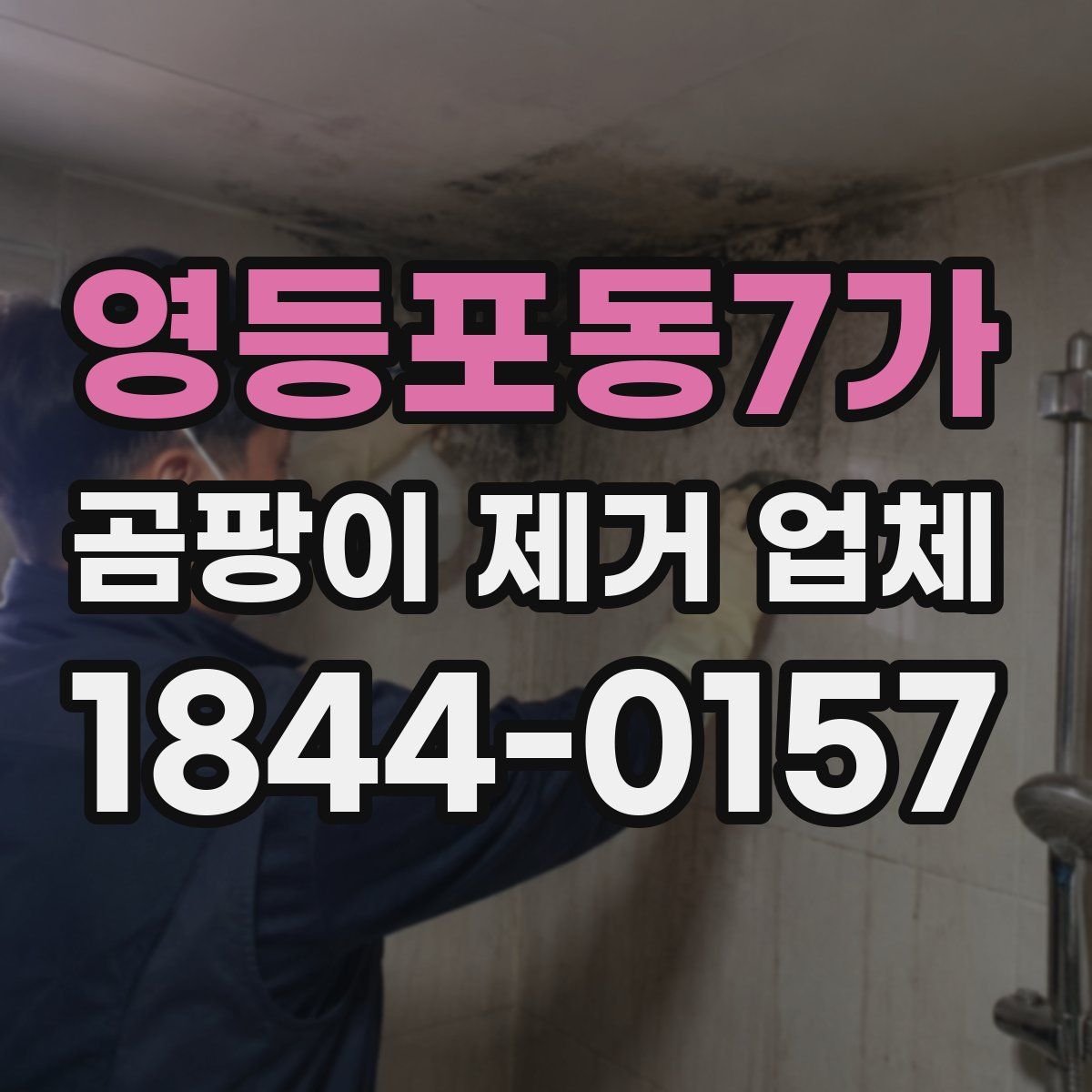 영등포동7가 곰팡이 제거 업체
